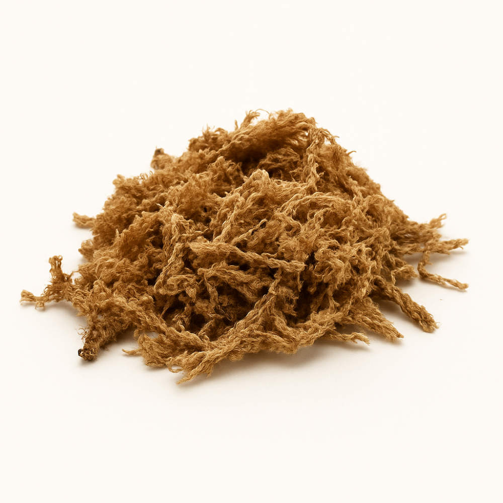 Mech torfowiec (Sphagnum)