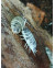 Porcellio laevis "dairy cow"