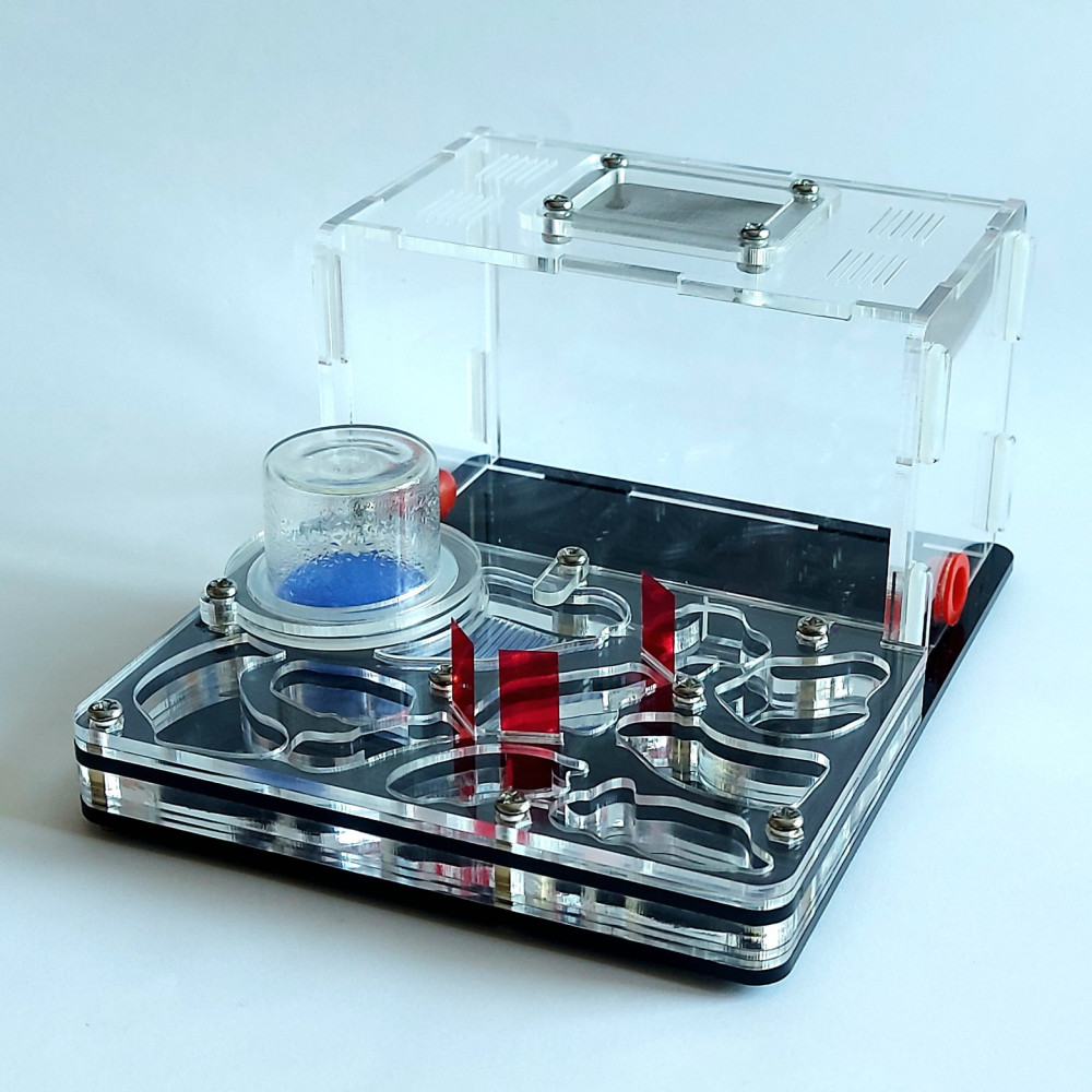 Formikarium Akrylowe Premium L