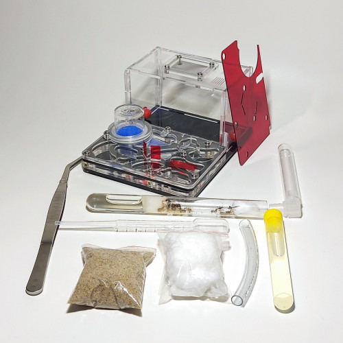 AntStarter L czarny Obsydian - zestaw startowy/prezentowy