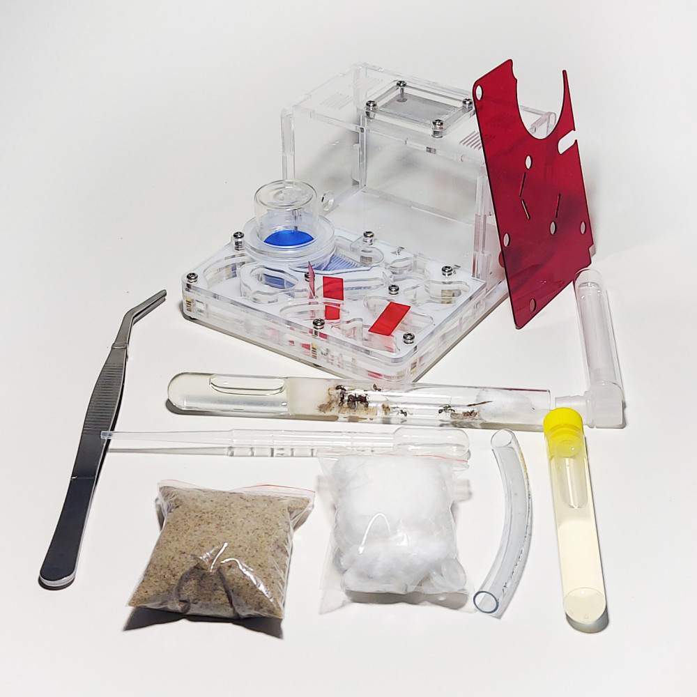 AntStarter L biała Perła - zestaw startowy/prezentowy